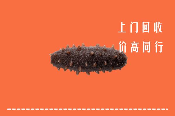高价求购：井陉矿区回收海参